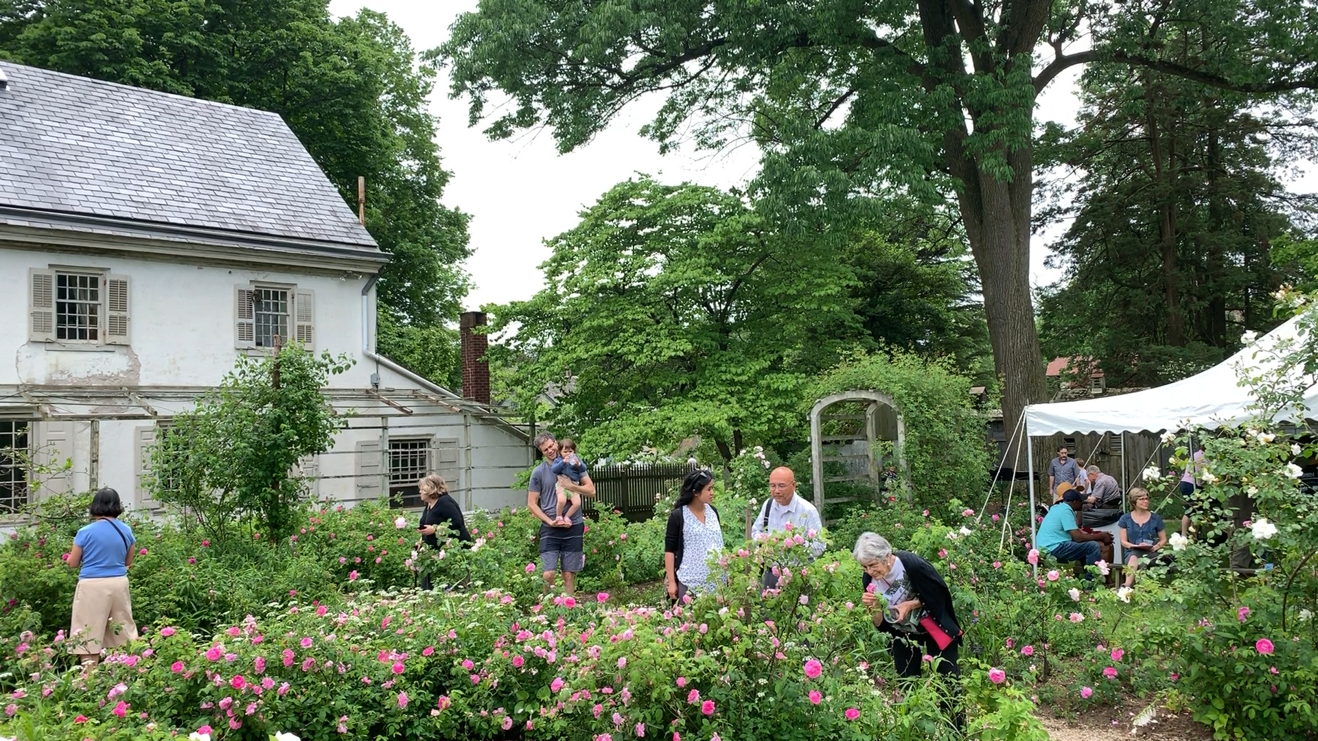 People in the rose garden. In the foreground a woman bends over to smell a rose. 