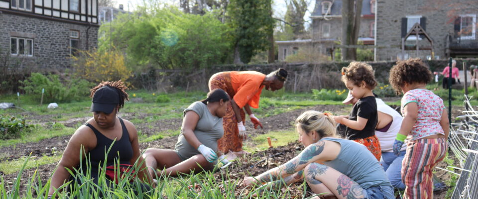 Participants work together on the farm